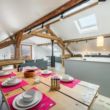 Familial Neuf Avec Sauna Et Spa, Proche Des Pistes, Accueille 12 Personnes Et Animaux Admis - Fr-1-570-30